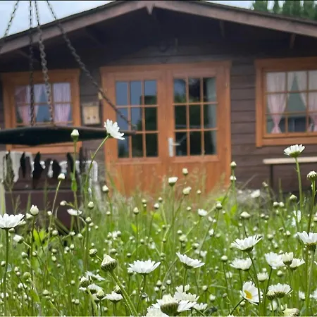 Jutta Am Bodensee Hébergement de vacances Uhldingen-Mühlhofen