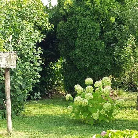 Jutta Am Bodensee Uhldingen-Mühlhofen